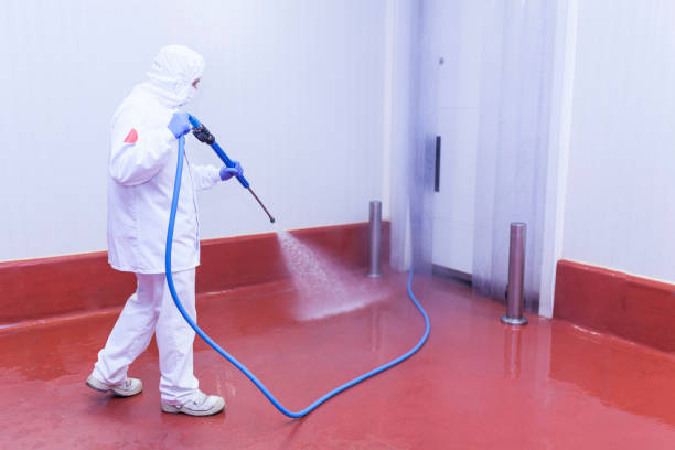 Best Driveway Pressure Washing  in Bon Aqua Junction, TN