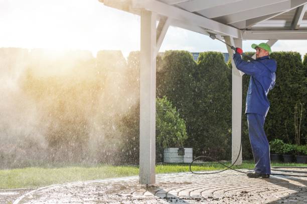 Best Patio and Deck Pressure Washing  in Bon Aqua Junction, TN