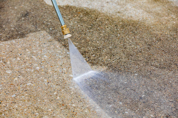 Best Roof Washing  in Bon Aqua Junction, TN